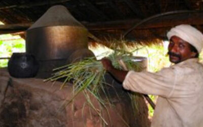 Tribal Distillation of ‘Cochin oil’